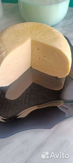 Молоко творог сыры йогурты