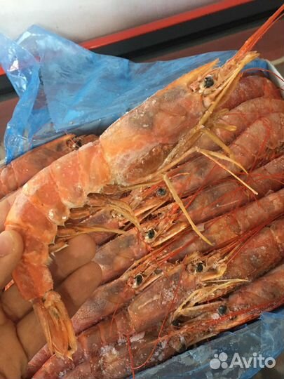 Лангустины