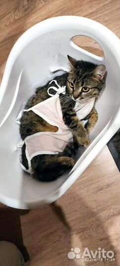 Малышке очень нужен дом