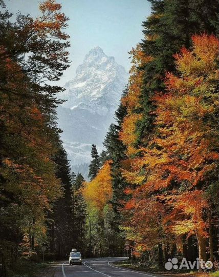 Тур поездка в Домбай 2 ночи 3-х раз. питание