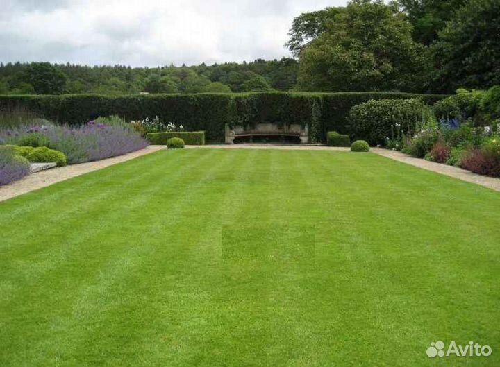 Рулонный газон напрямую от производителя