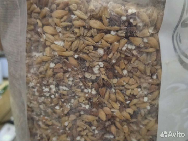 Зерновой набор для домашнего пива