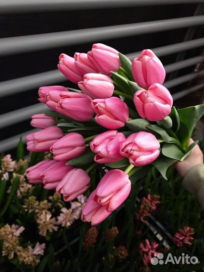 Тюльпаны к 8 марта оптом