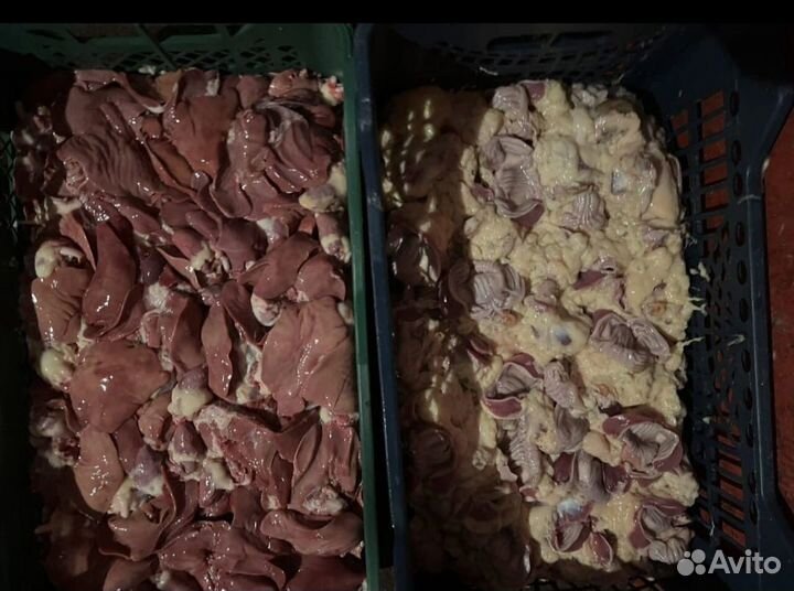 Оптом мясо