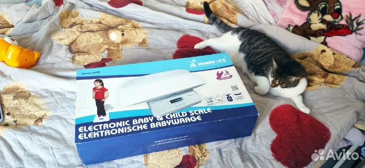 Momert модель 6420