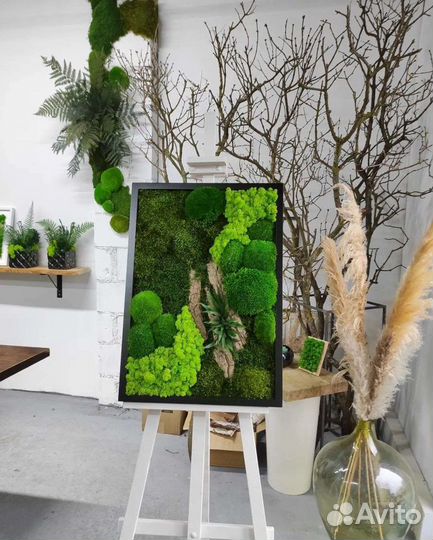 Фитокартина панно из мха мох стабилизированный