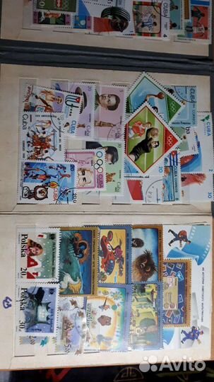 Марки спортивные