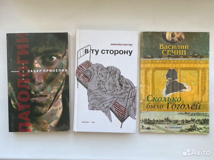 Книги 17 прилепин, Кантор, сечин