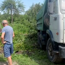 Расчистка участка,спил деревьев,разравнивание учас