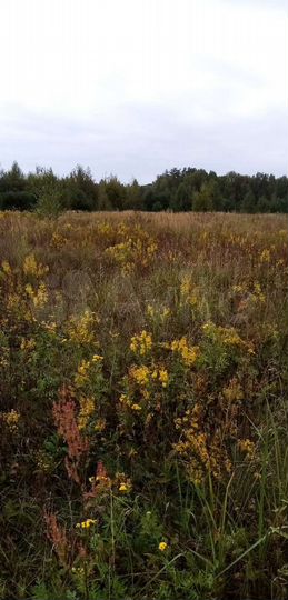 Участок 10,6 га (СНТ, ДНП)