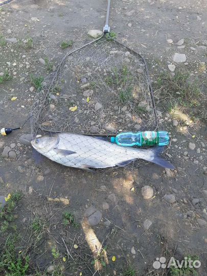 Технопланктон