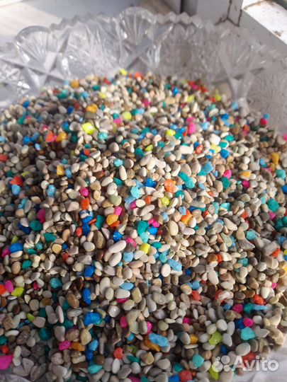 Грунт, грот