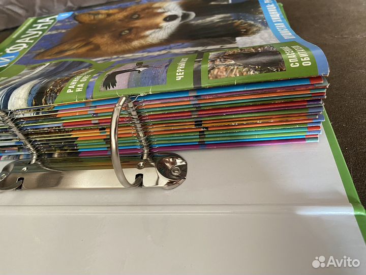 Коллекция журналов Флора и Фауна