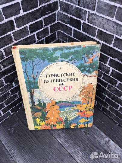 Книга С.А. Лупандин. В.Г. Пеунов. 