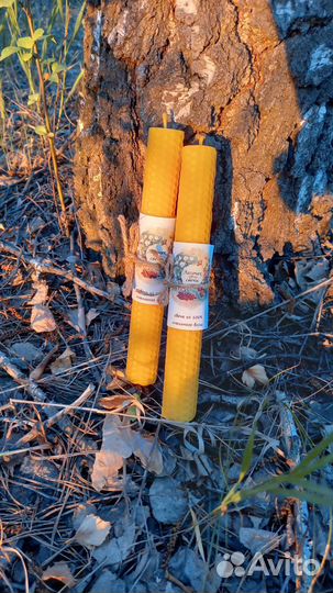 Свеча из вощины 20x2,5 см