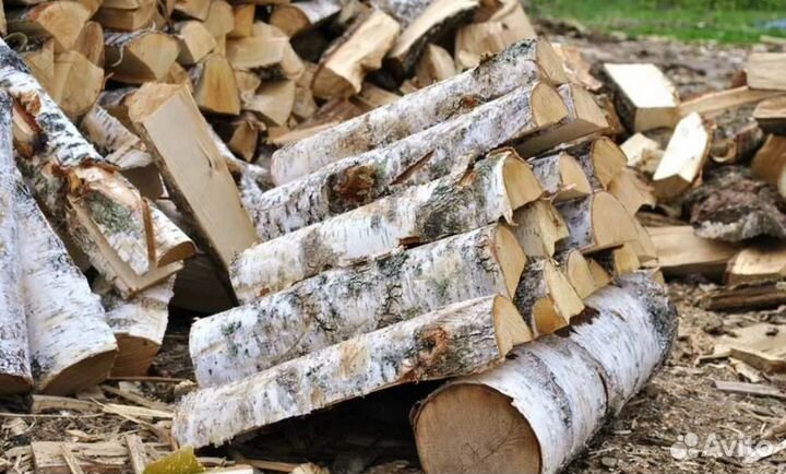 Дрова береза