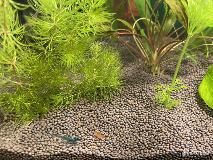 Пропант нейтральный грунт для аквариума