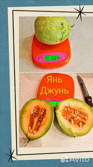 Экзотические дыньки,семена. Китай,Вьетнам