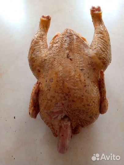 Бройлерные куры