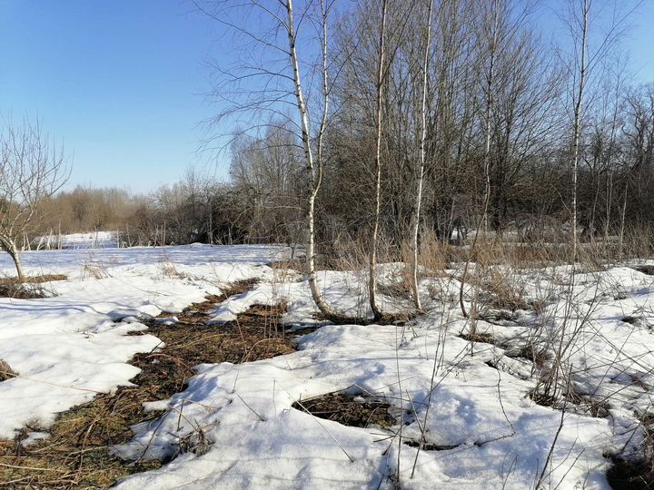 Участок 93 сот. (ИЖС)