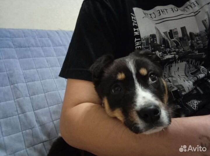 Девочка 5 мес