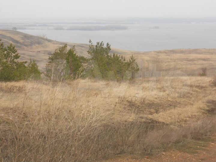 Участок 38,5 га (СНТ, ДНП)