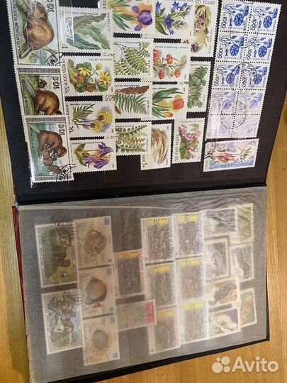 Альбом с почтовыми марками флора и фауна