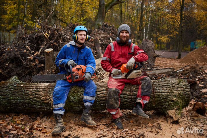 Спилить дерево