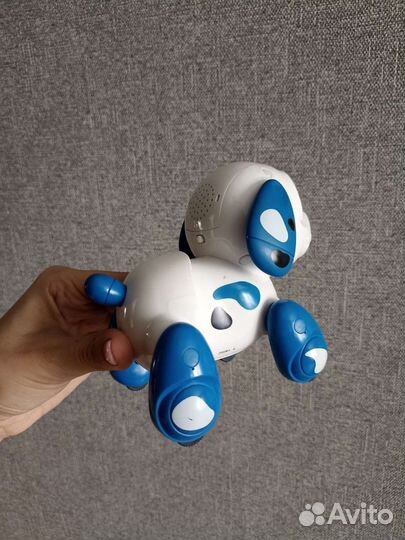 Робот собака руффи