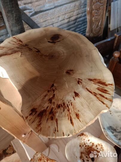 Спилы дерева