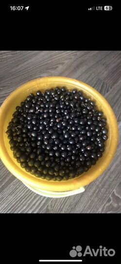 Черная смородина