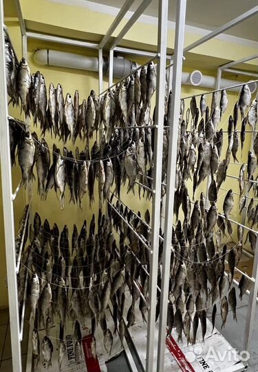 Тарань азовская