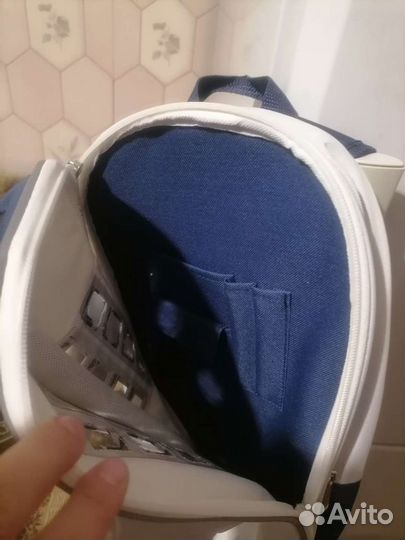 Рюкзак-самолет