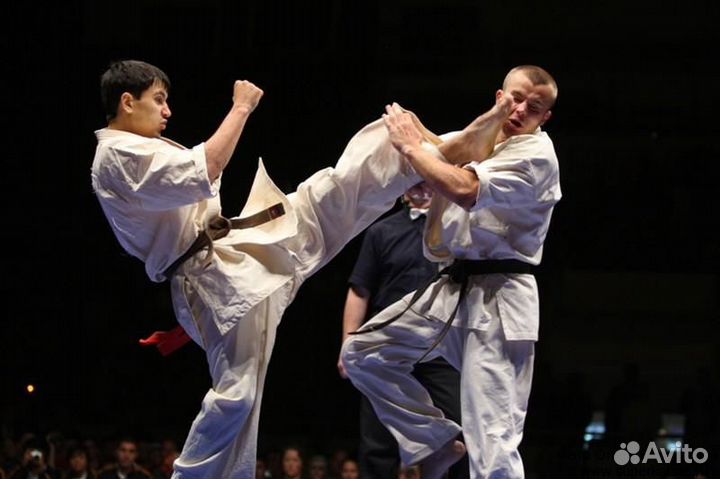 Тренер. Тайцзицюань, фитнес, боевые искусства