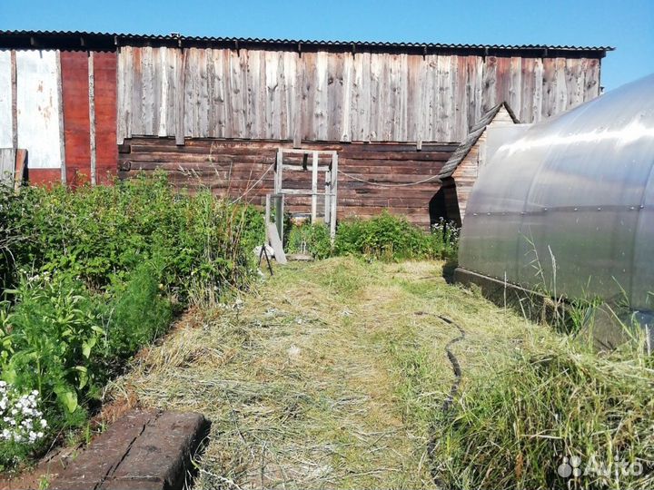 Скошу траву, котовая выросла на твоём участке, это