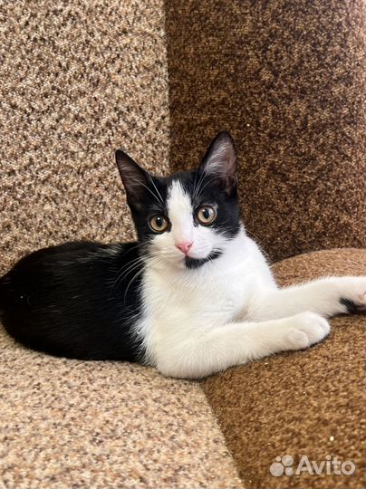 Девочка Жемчужина