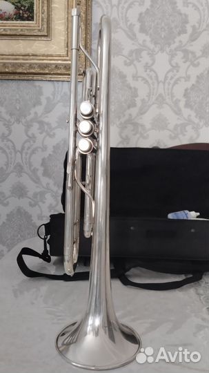 Труба blessing ML-1