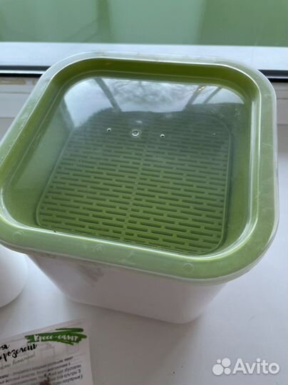 Проращиватель 