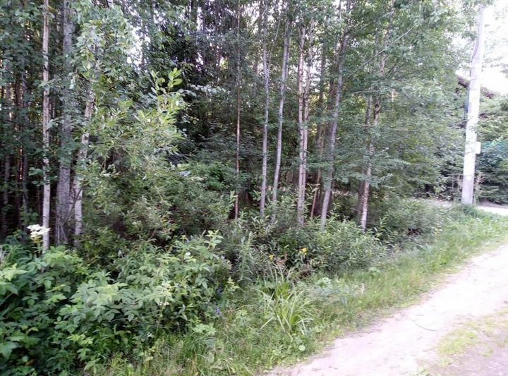 Участок 7,5 сот. (СНТ, ДНП)