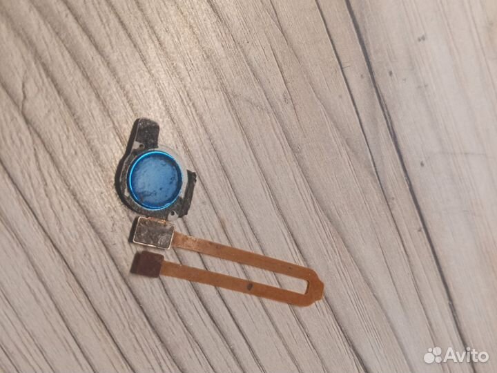 Отпечаток пальца