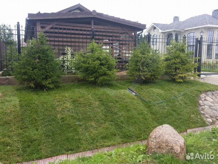 Рулонный газон напрямую от производителя