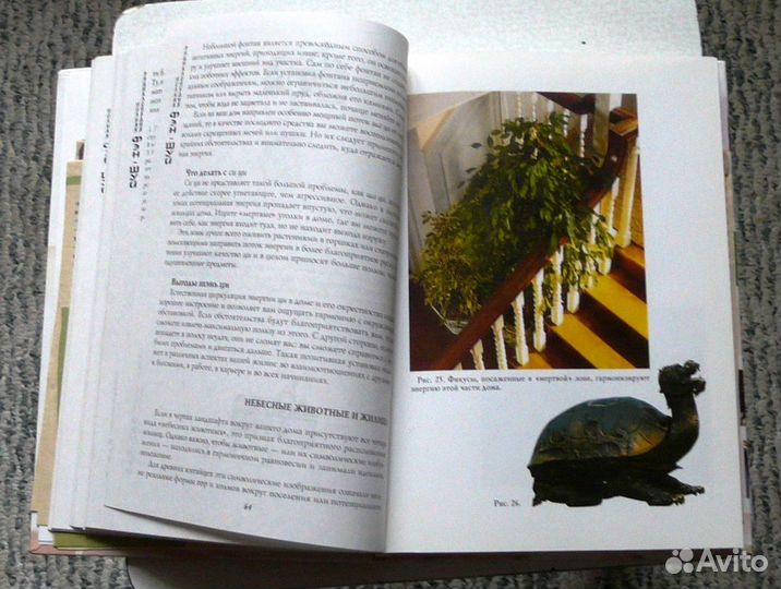 Энциклопедия Фэн-шуй