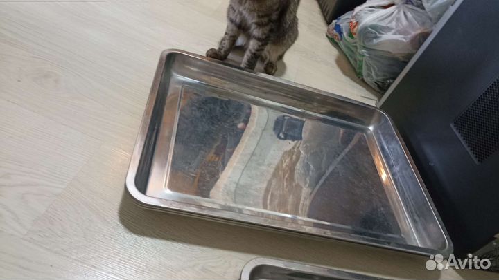 Гастроемкости