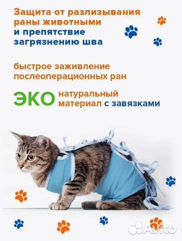 Попона для кошек послеоперационная на завязках