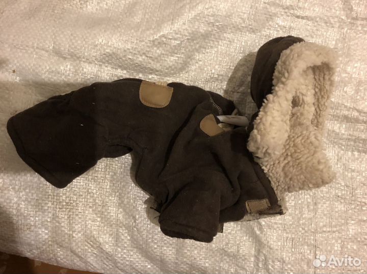 Комбез на собак маленьких пород