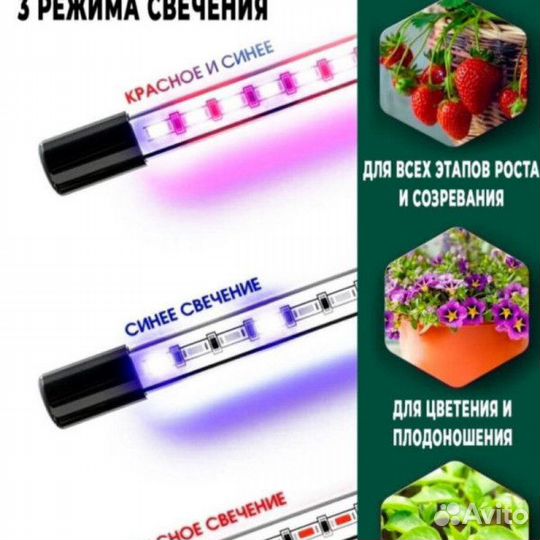 Фитолампа для рассады, для растений 4 лампы