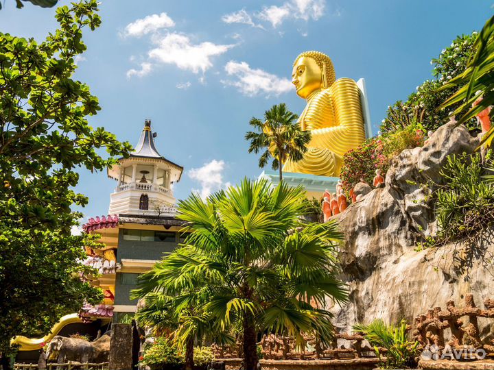 Relax тур на Sri-Lanka от 7 ночей за двоих человек