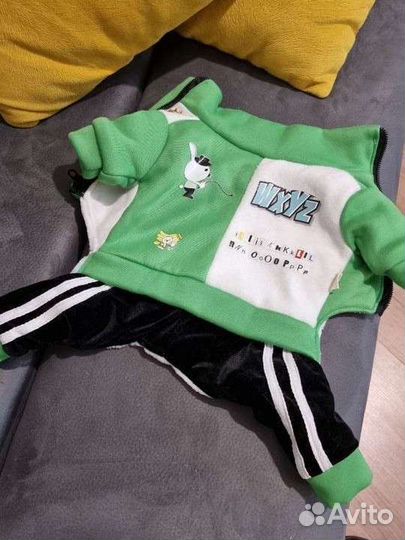 Костюм для кошки/собачки