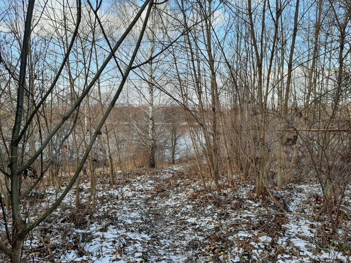 Участок 12 сот. (ИЖС)