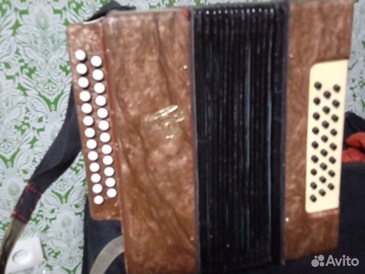 Гармонь Кубань